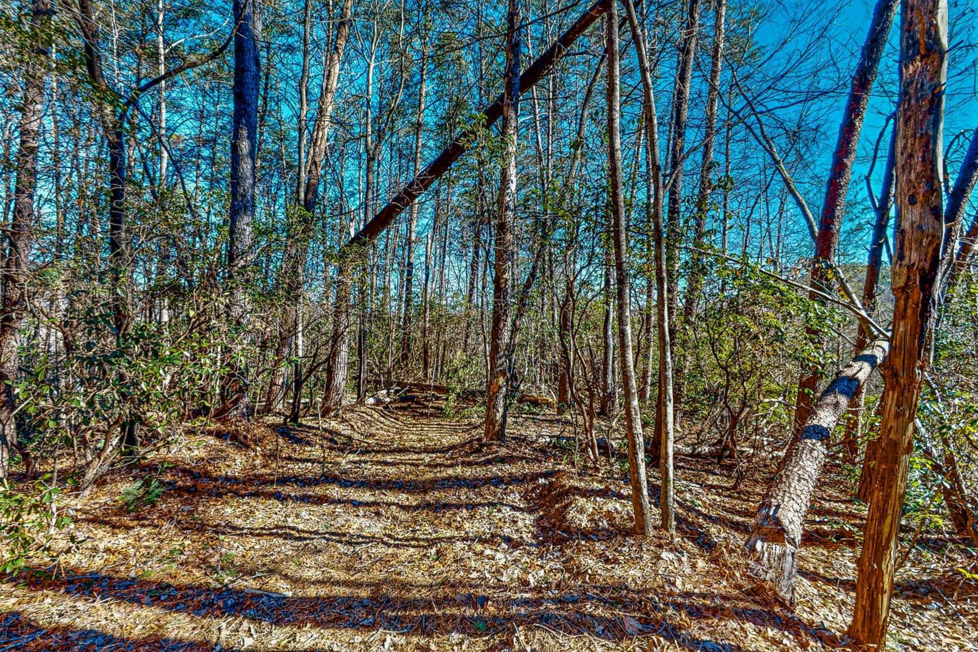 Singing Pines Hotel Sautee Nacoochee ภายนอก รูปภาพ
